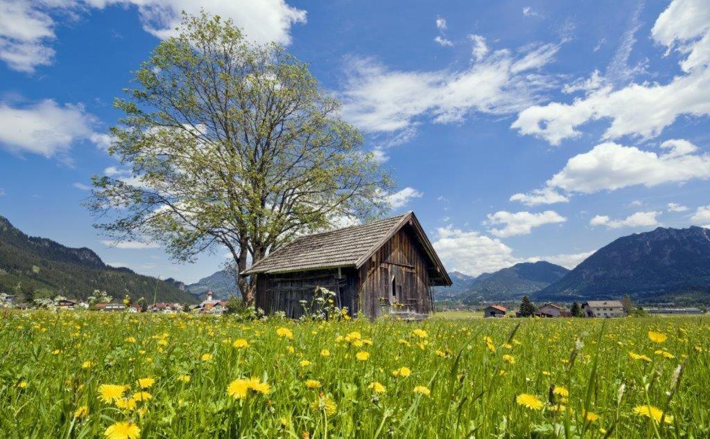 Chalet Mia In Waengle Bei Ройте Экстерьер фото